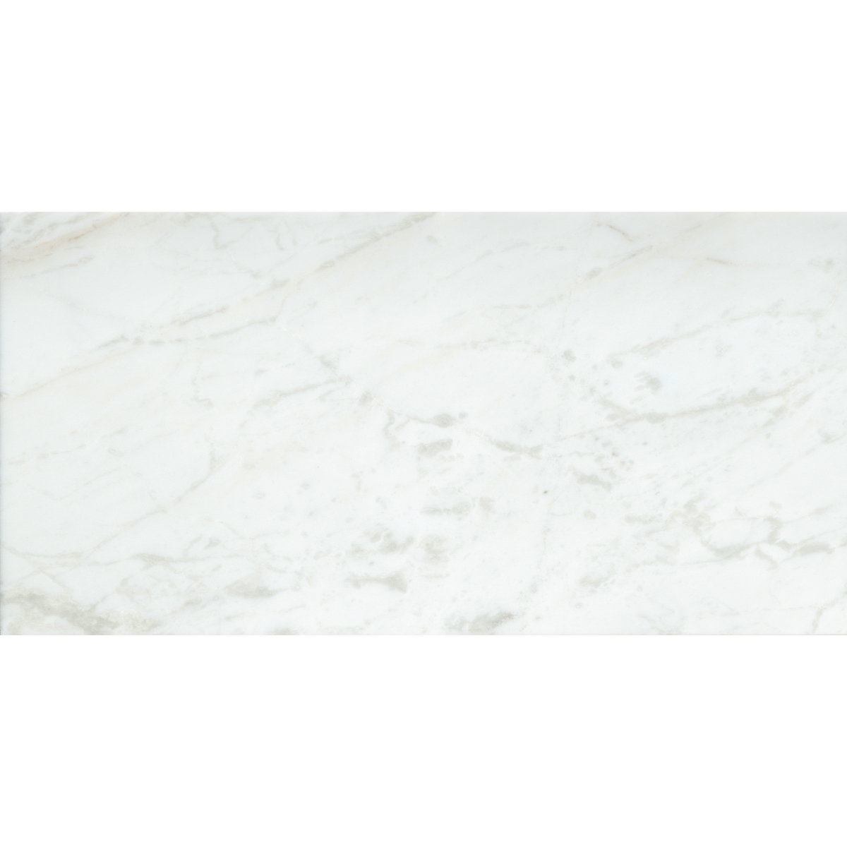 Calacata Polished